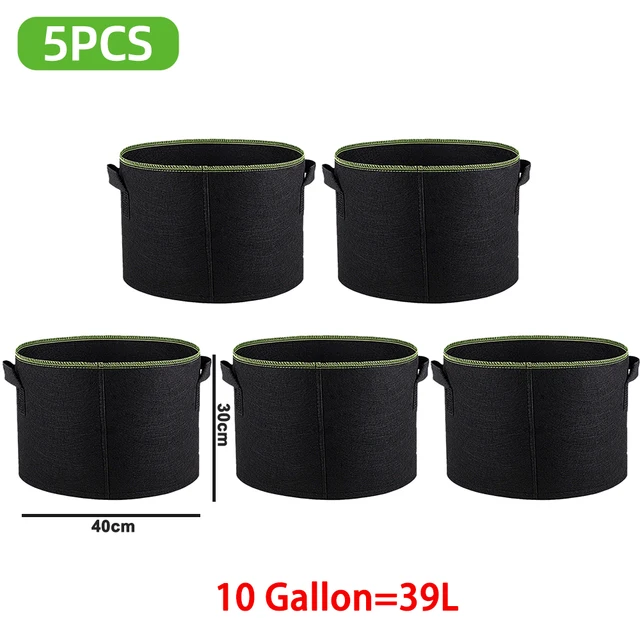 10 Gallon 40 X 30 CM