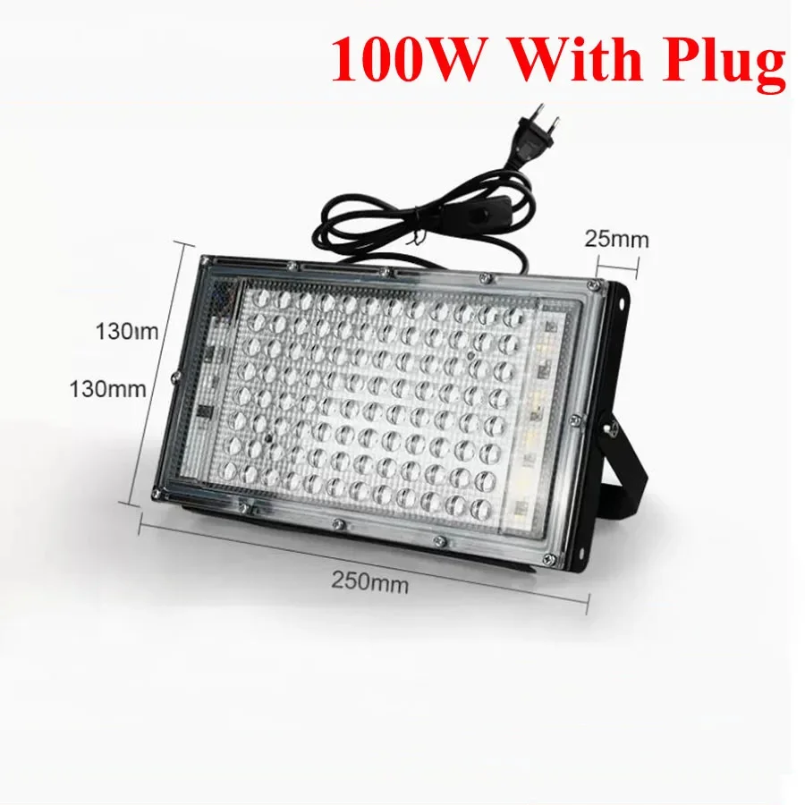 100W With Plug