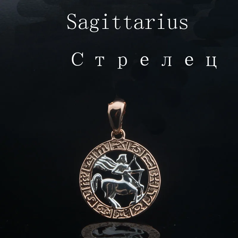 12 Constellation 585 Rose White Gold Zodiac Pisces Pendant Necklace