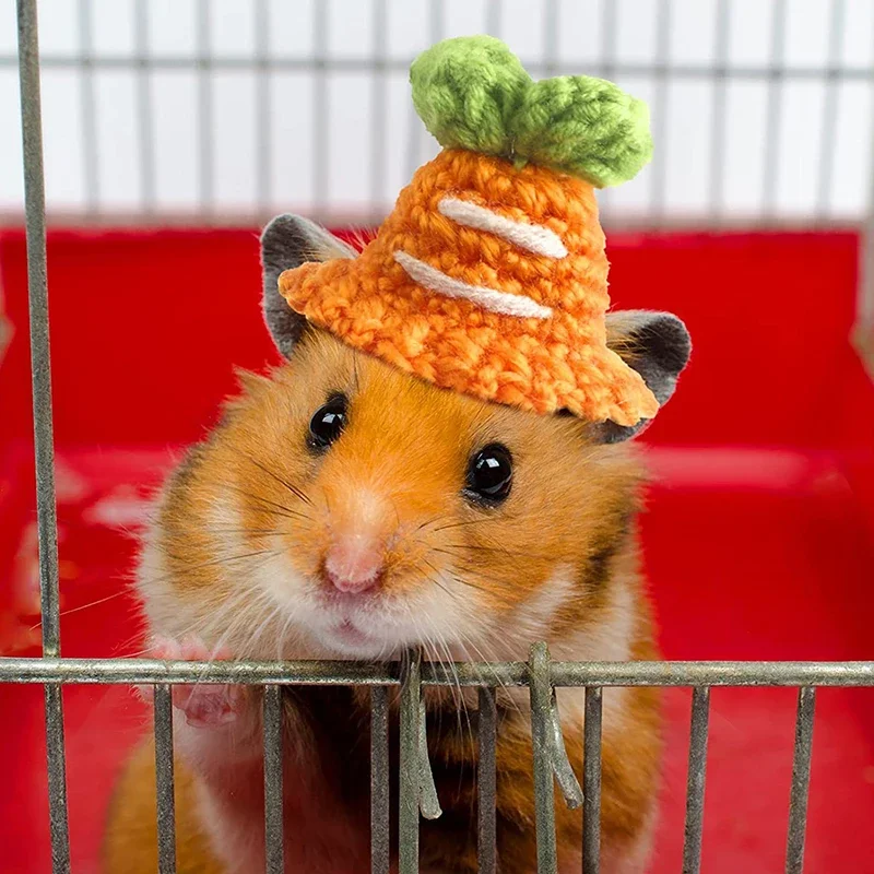 Cute Handmade Knitted Hat Hamster Decoration Chipmunk Guinea Pig Hamster Accessories Toy Supplies Small Pet Hat