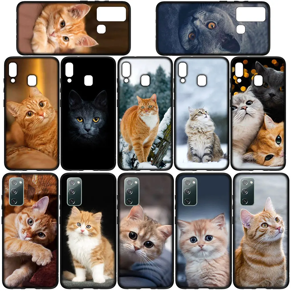 Meow Eyes Kitten Cat Soft Phone Case Cover