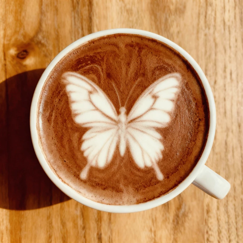 قلم قهوة كهربائي احترافي