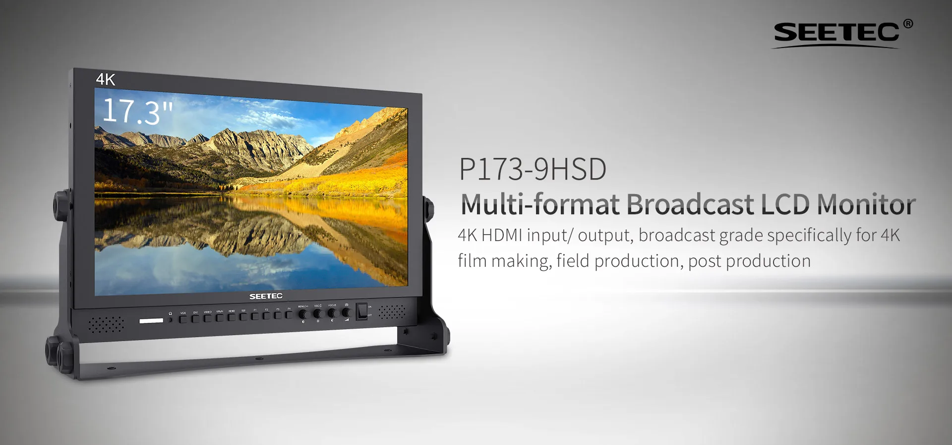 P173-9HSD 17.3" 300nits Aluminum Design 1920×1080 Pro Broadcast LCD Monitor with