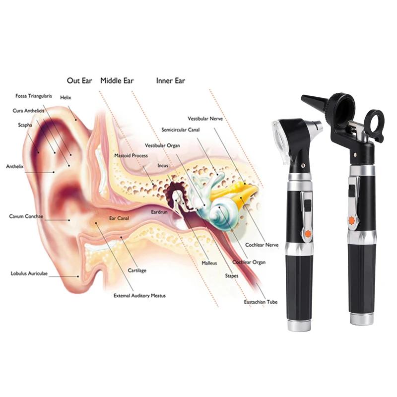 Lékařská ucho bodat endoskopu earwax odstraňovač hartmann mikro aligátor krokodýl nos forceps otolmoskop čistič klip pinzeta sada