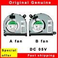 A pair fan