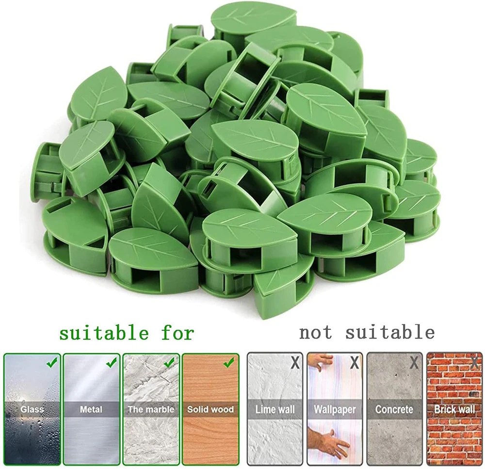 Invisible Plant Climbing Wall Fixture Clips 10-50Pcs PcsRattan Vine Bracket Fixed Buckle Leaf Clips Traction Holder Garden 4