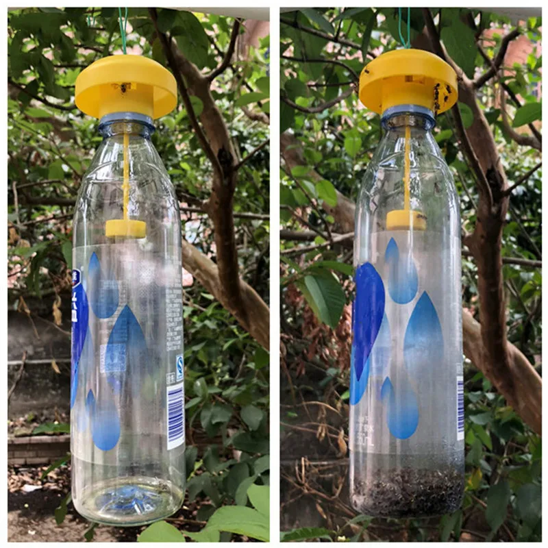 Fruit Fly Trap Killer Plastic Yellow Drosophila Trap Fly Catcher Pest Insect Control For Home Farm Orchard 6 * 6 * 2 cm