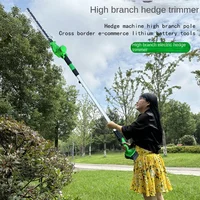 24v Electric High-Branch Hedge Trimmer Gardening Telescopic Extension Pole High-Altitude Pruning Shears 헤지 트리머 무선 헤지 트리머 헤지트리머 2