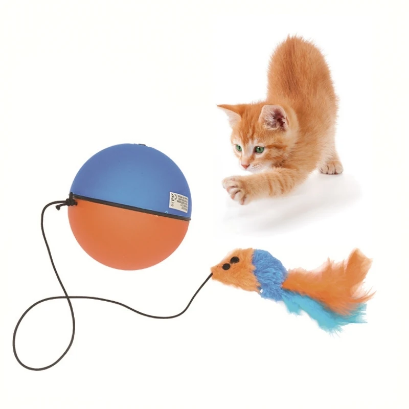 

Cats Toys Cat Ball Juguetes Para Gatos Productos Mascotas Accesorios Peluche Catnap Jouet Pour Balle Chat Pelucia Rat Mouse