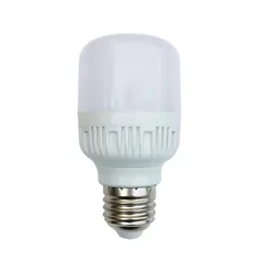 Auto Sensor LED Light 5W LED Dusk To Dawn Bulb 220V Auto on/Off Indoor/Outdoor Lighting 6500K Voice Activated Bulb