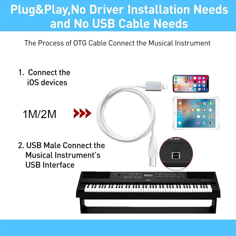 MIDI USB B-iPhone iPad IOS 인터페이스 전자 피아노 드럼 용 OTG 데이터 케이블 전기 피아노 MIDI 키보드 커넥터