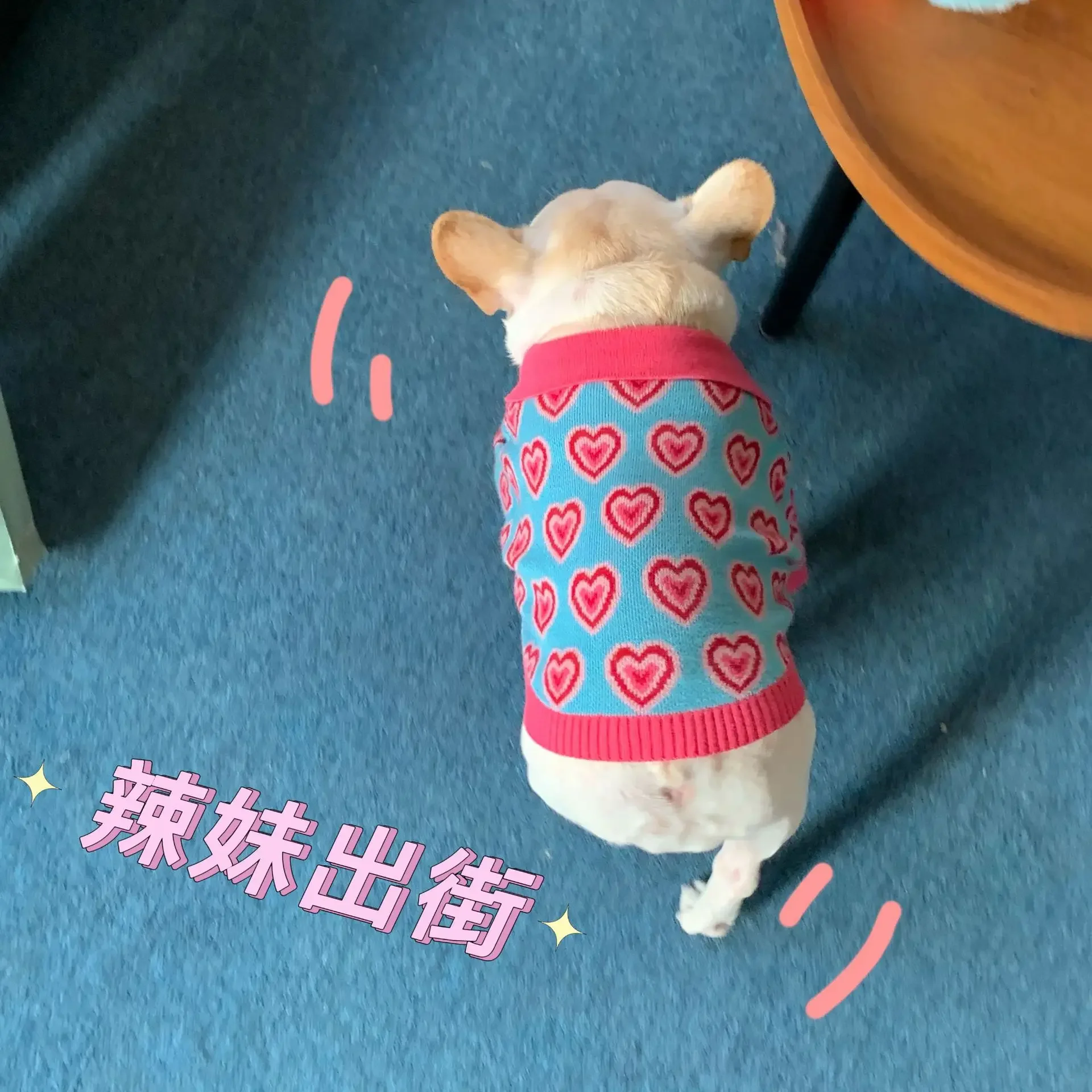 두꺼운 면 애완 동물 스웨터, 따뜻한 프린트, 작은 개 고급 옷, 편안한 강아지 옷, 고탄력 패션, 조수 브랜드