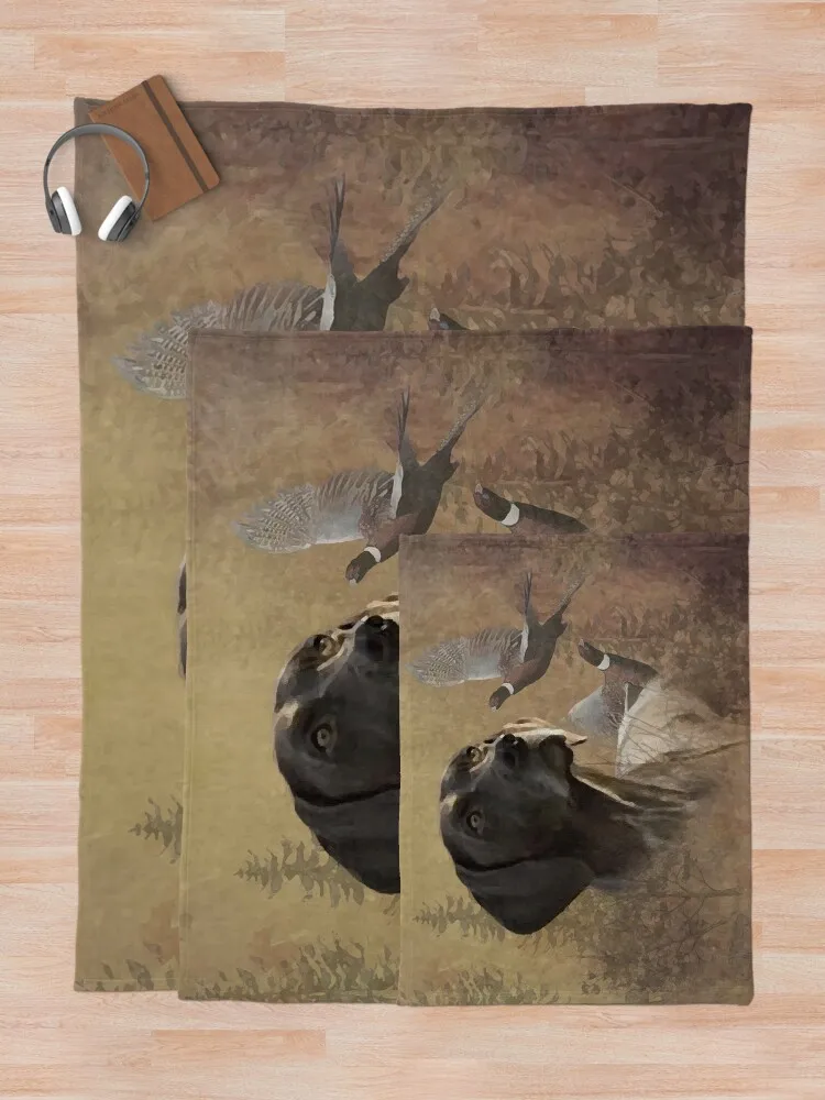 Deutsch Kurzhaar ������ ���, ǫ���� ���� ũ�������� ��� ��� �� ������, ����� �� �ʼ�ǰ ���