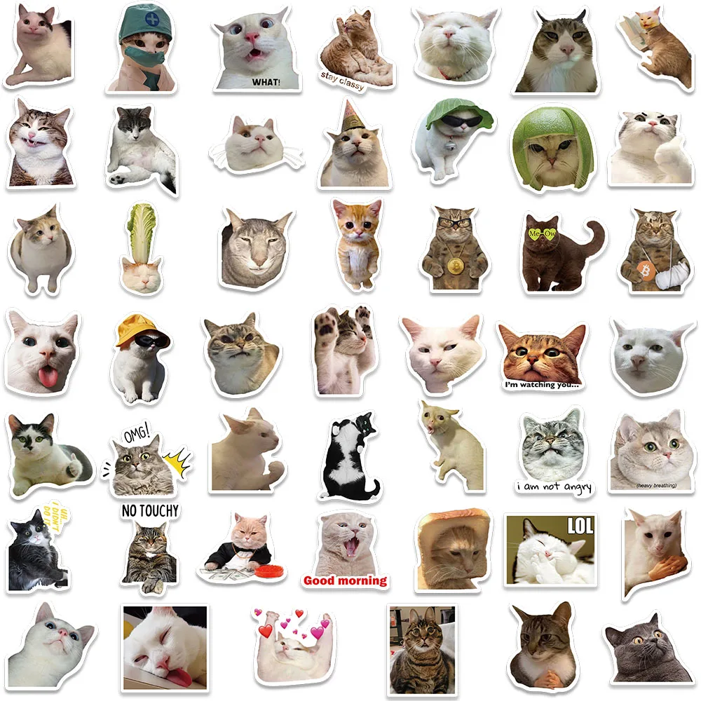 50/100 pz Divertente Gatto Meme Adesivi Bottiglia D'acqua Gattino Adesivi  Laptop Bagagli Notebook Skateboard Vinile Impermeabile Decalcomanie Per  Auto - AliExpress, image size:1000x1000