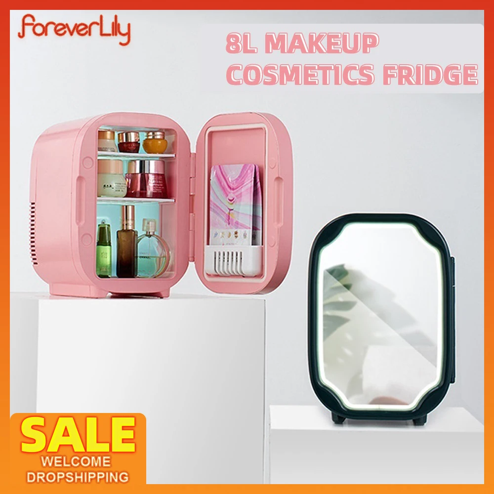 4l Portable Mini Beauty Refrigerator Multifunction Home Car