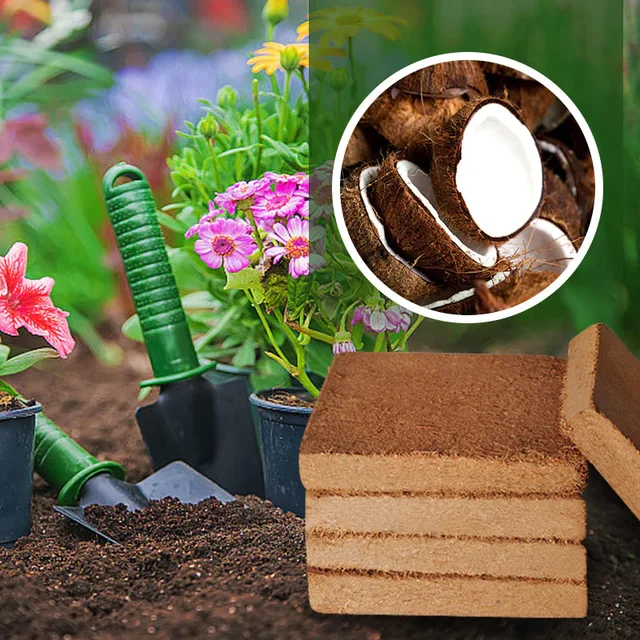 Kókuszdió Kókuszrögzített Coco Coir Tégla Növények Számára Organic Kerti Kókuszrillek Növényi Talaj Zöldségekhez Virágok Gyógynövények Ültetése