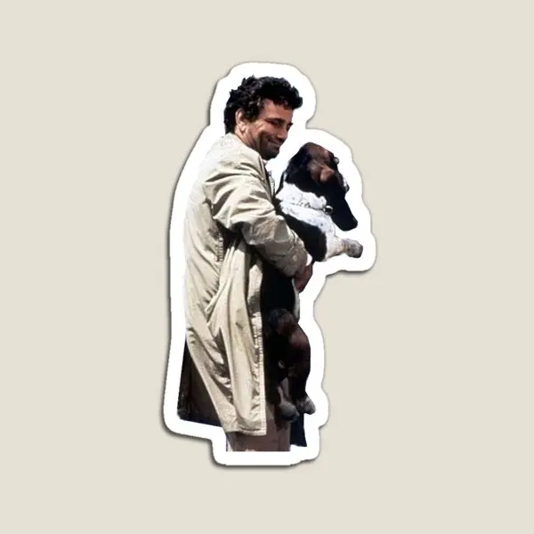 

Магнитные Детские милые наклейки для детей, цветные украшения для дома