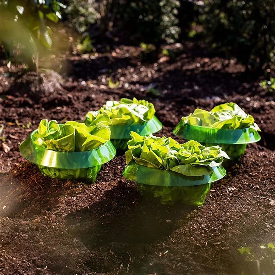 UPP Salade ringen, effectieve slakkenbescherming voor je slaplanten en kool, slakkenafweer zonder chemicaliën, slakkenkraag van plastic, 5 stuks