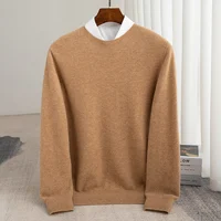 Autumn And Winter 100% Pure Wool Men's Thick Round Neck Slim-Fit  O-neck Pullover Long-Sleeved Knitted Cashmere Sweater 2