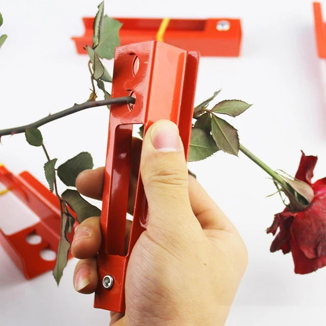 Rose Thorn Stripper