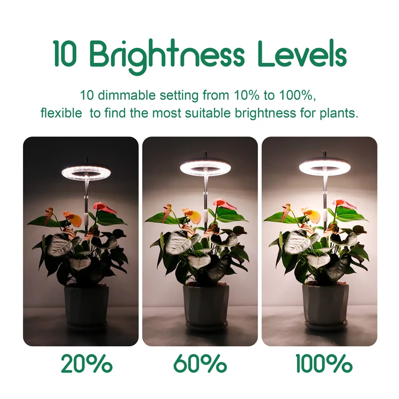 LED Grow Light for Indoor Plant 4000K Full Spectrum Plant Growing Lamp with Red Blue LED Dimmable Plant Light with 3/9/12H Timer