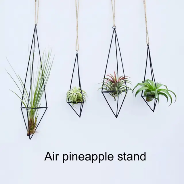 Légüzem Tartó Vas Geometriai Forma 3D Vizuális Effektus Tillandsia Akasztó Rozsdaálló, Könnyen Felszerelhető Stabil Virág Ültetvény - Image 4