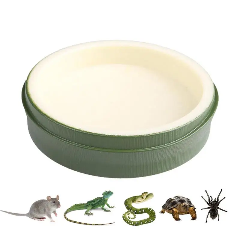 

Food Feeder Bowl Food And Water Feeder Dish For Eating Reusable Reptile Feeding Dish Water Bowls For Gecko Tortoise Frog Hermit