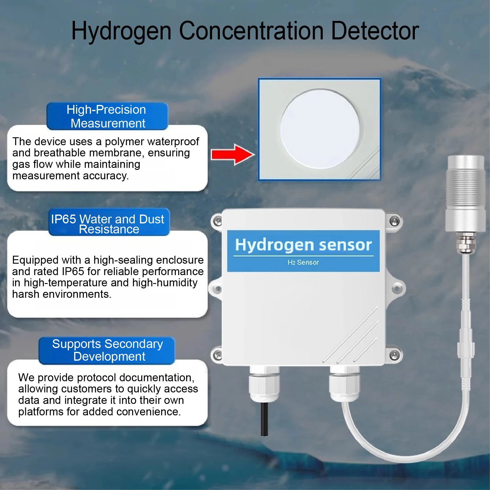 Hydrogen Gas Detector H2 Sensor Wall-Mounted H2 Gas Leak Detector Industrial Fixed Hydrogen Alarm Safety Device