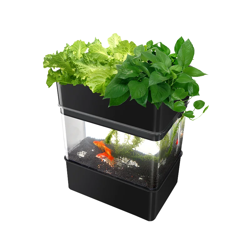 

Aquaponics & Hydroponics EUROPEAN