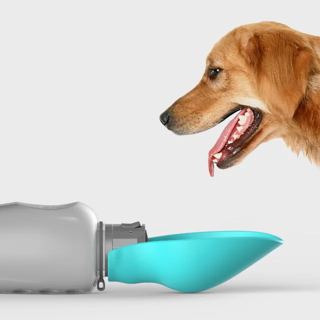 Water Bottle/Drinking Bowl 6