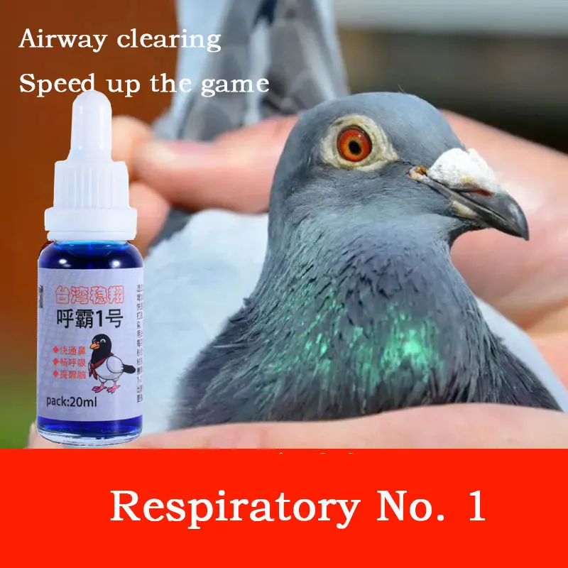 

Respiratory tract No. 1 racing pigeon removes mucus in the respiratory tract, breathes the nose and speeds up the race