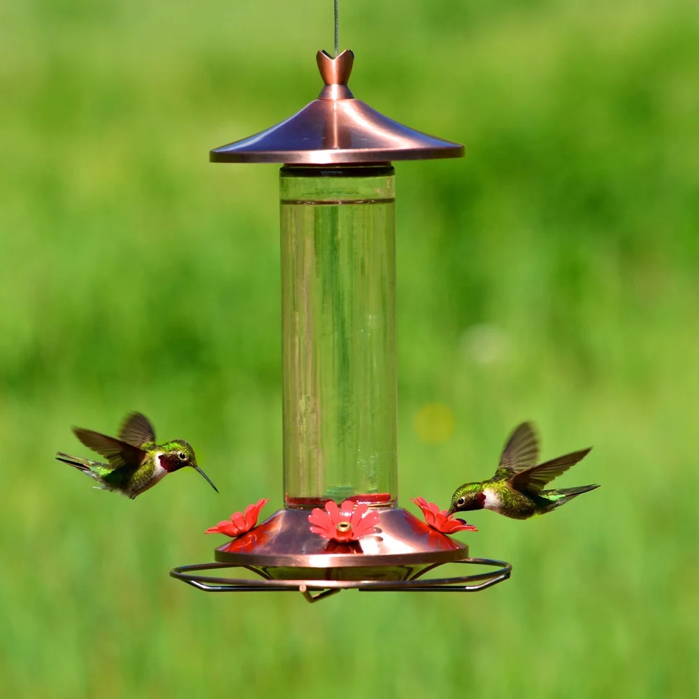 Elegant Copper Glass Hummingbird Feeder 12oz 4 Feeding Ports Wide Mouth Easy Clean Bee Guard Garden Decor bird feeder