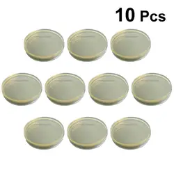 Placas de Agar desechables R2A, equipo de fabricación biológica, envasado al vacío, 10 piezas