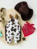 Baby Set Three Piece Children's Summer Rompers Kids Fashion Western Denim Clothing with Hat 0-12 Months Baby Boy Clothing 2
