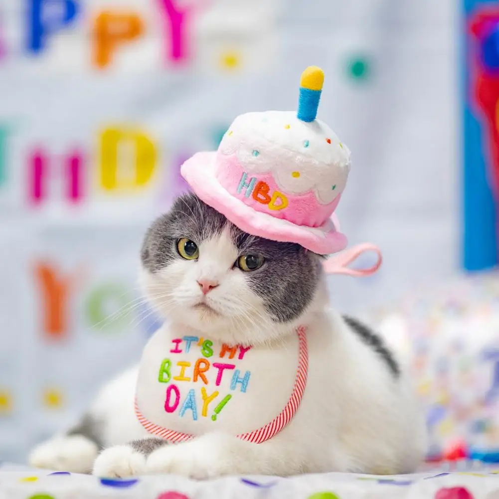 Kittens With Birthday Hats