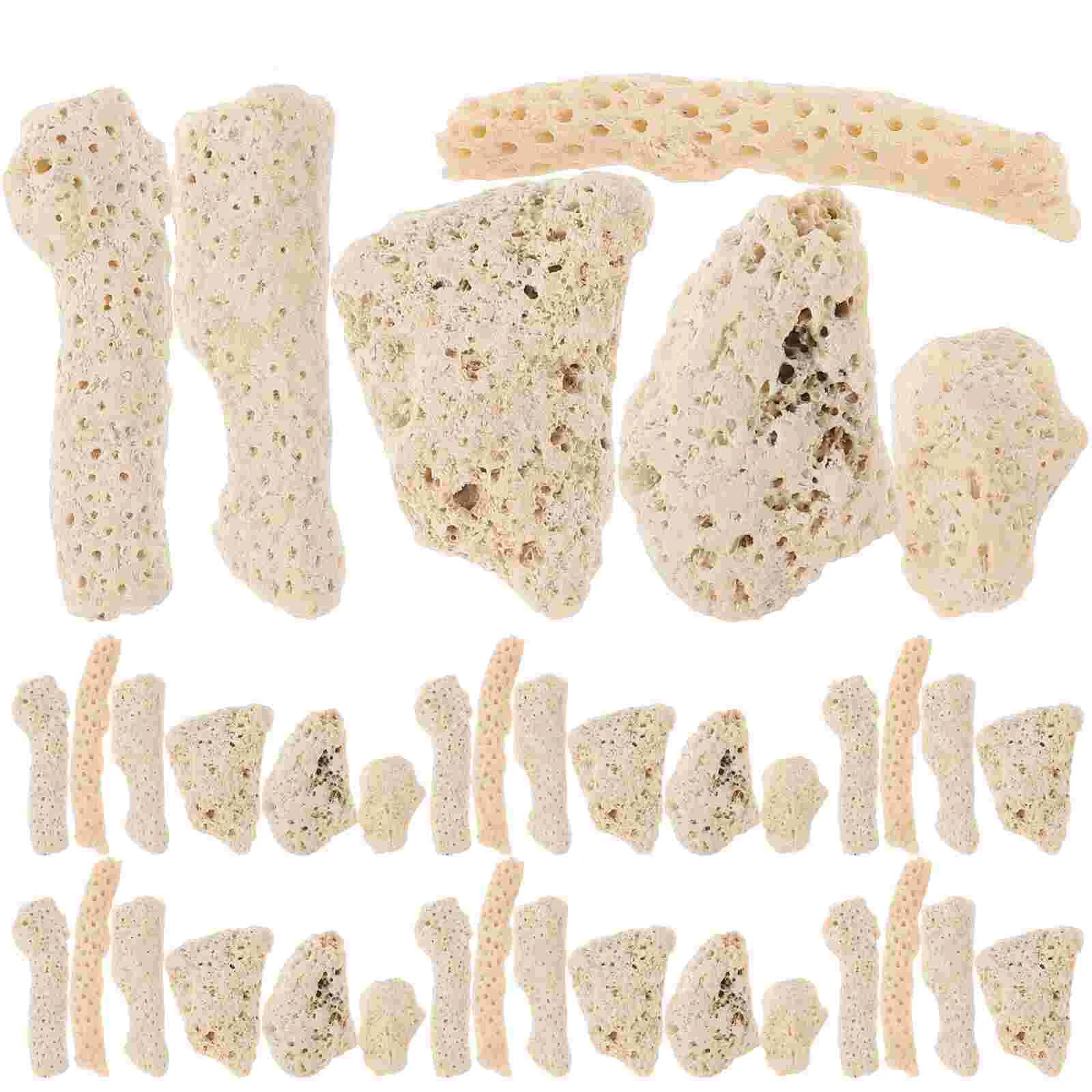 

Aquarium Gravel Crushed Coral Pond Filter Media Gravel Aquarium Coral Bone Sand Aquarium Biological Filter House Stones