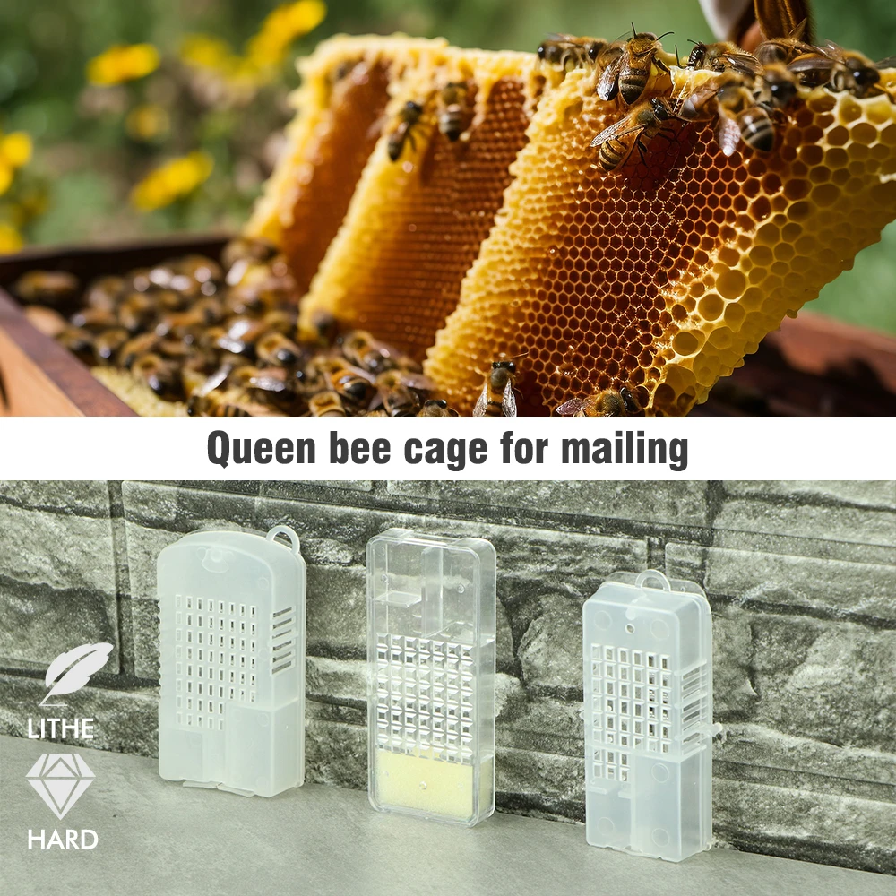 3 styles Beekeeping Transport Cage Queen House Beehive with Sponge Bee House White Transparent Plastic Box Beekeepers Equipments