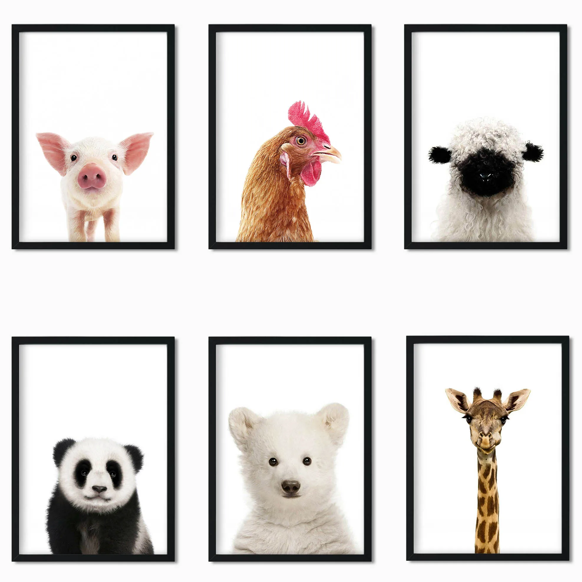 

Home Animal Chicken/Polar Bear/Sheep/Giraffe/Lion/Panda Unframed Art Picture Print Silk Poster Home Wall Decor