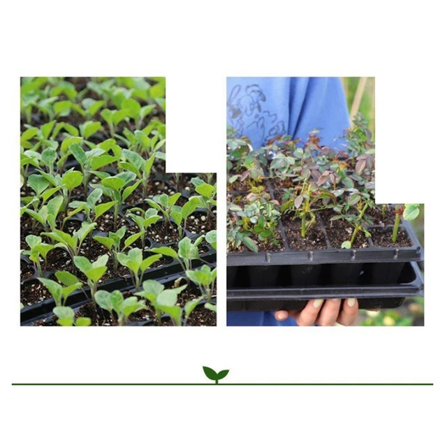 1 Set Indító Tálca Grow Könnyűállvány A Vetőmag Indulásához, Palánták Csírázása És Növények Terjedése - Image 6