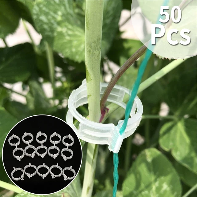 50 db Növényi Oltó Klip Uborka Padlizsán Görögdinnye Kerek/Lapos Száj Elleni Küzdelem Ellen - Image 4