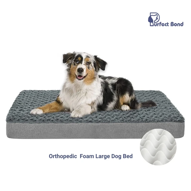 Australian Shepherd Dog Beds