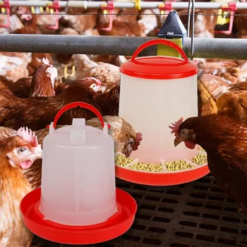 Automatic Poultry Feeder Set 1