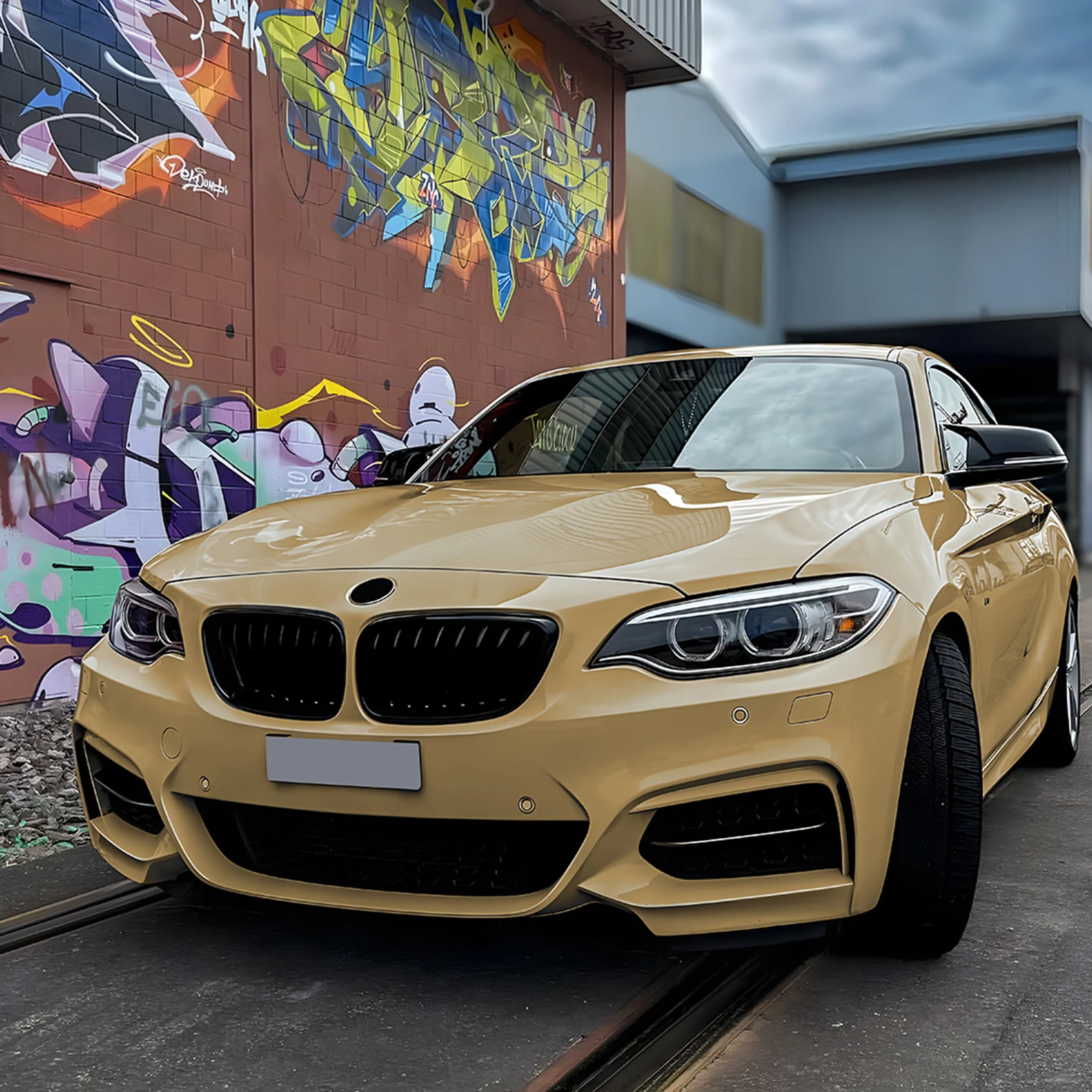 BMW 2 시리즈 F22 F23 2014-2019용 자동차 전면 키드니 그릴 상단 범퍼 후드 메쉬 그리드 (싱글/더블 라인 그릴)