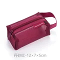 Ds red