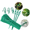 50-1000pcs Adjustable Plastic Plant Cable Ties Reusable Cable Ties for Garden Tree Climbing Support Plant Vine Tomato Stem Clip 4