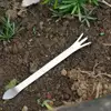 Stainless Steel Root Rake 3-Prong Loosen Soil Bonsai Tool Garden Turning With Handle Ergonomic Tree Tools Soil Bonsai U1I9 6