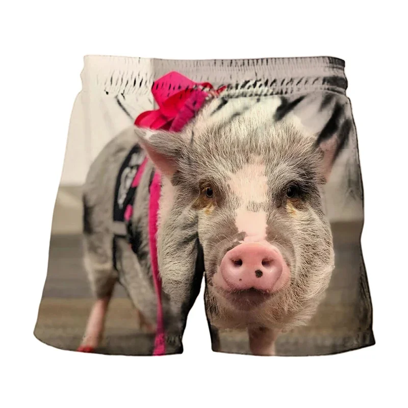 

Summer 3D Printed Funny Pig Beach Shorts Men Casual Elastic Loose Surf Board Shorts Swimming Trunks Cool Street Short Pants