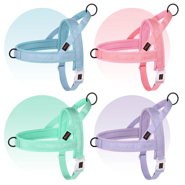 Adjustable Nylon Dog Harness Colorful Pet Dogs Vest Harness With Quicklace Control Handle for Small Medium Large Dogs Chihuahua 2