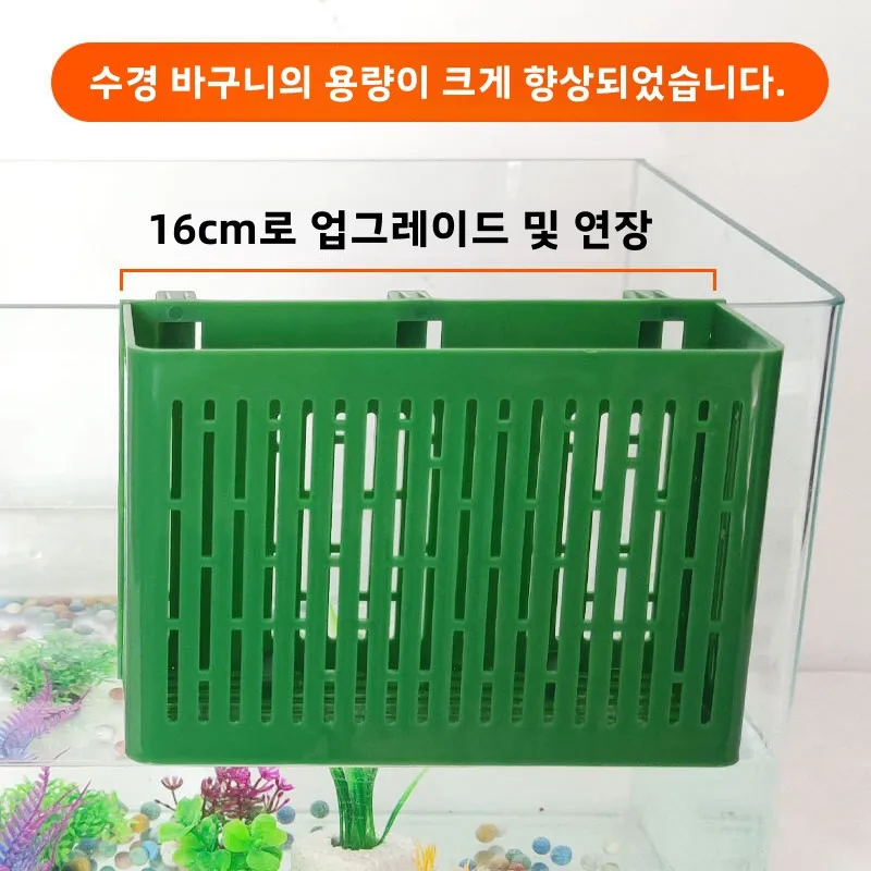 수분공급식 수초 배양물 수분공급식 수초 배양물 수초 배양물 수분공급식 수초 배양물 수초 배양물 수초 배양물 수초 배양물 수초 배양물 수초 배양물 수초 배양물 수초 배양물 수초 배양물 수초 배양물 수초 배