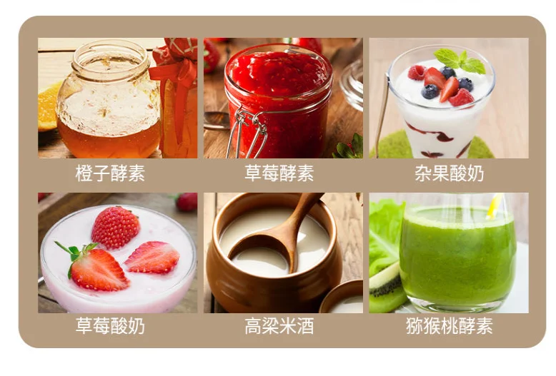 Yogurt Machine chinahealthmaker 2L Household big home Fermentation Machine Auto Enzyme Rice Wine maker 110-220-240V Golden